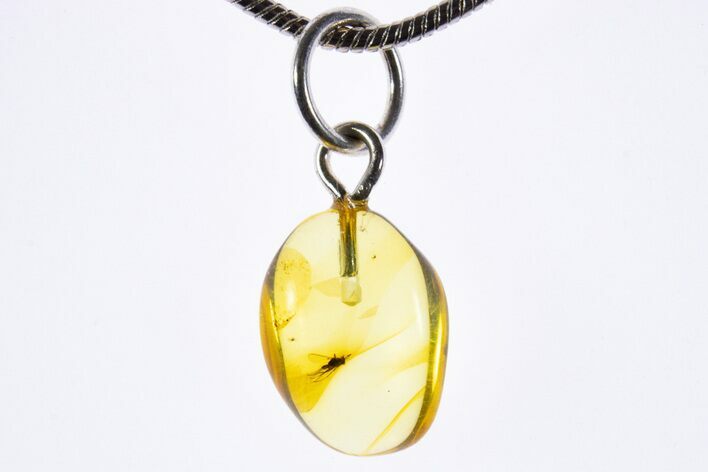 Polished Baltic Amber Pendant (Necklace) - Contains Fly! #339590